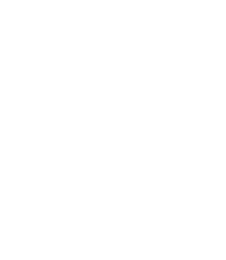 D C Transportation L.L.C.