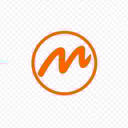 Momentum Limousine LLC