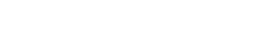 AGENCY VIP LIMOUSINE
