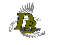 Dumas Bay Limousine