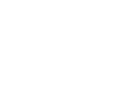 Mr Shuttles