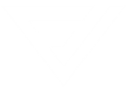 Exec V