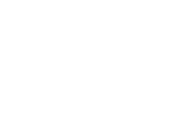 VEGA SMOOTH TRANSFERS