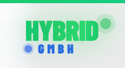 Hybrid Taxi GmbH