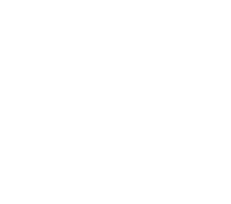 L'Drives