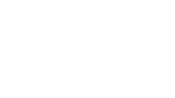 Pegasus Limousine