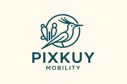 PIXKUY MOBILITY S.A. DE C.V.