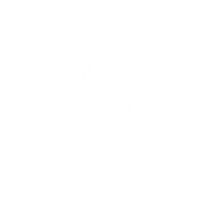 Profile Elite Transportation, LLC.