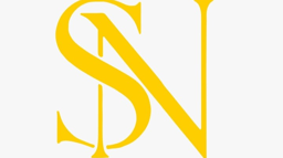 Sn Limo Service 