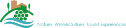 The Guru Guide