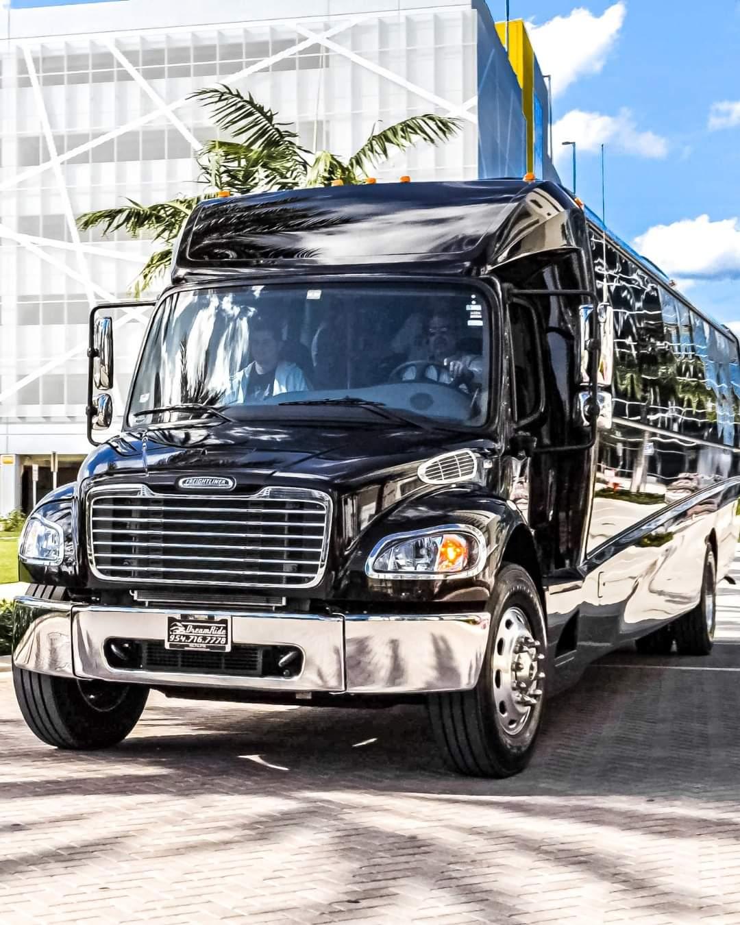 Minibus Executive - Image 3