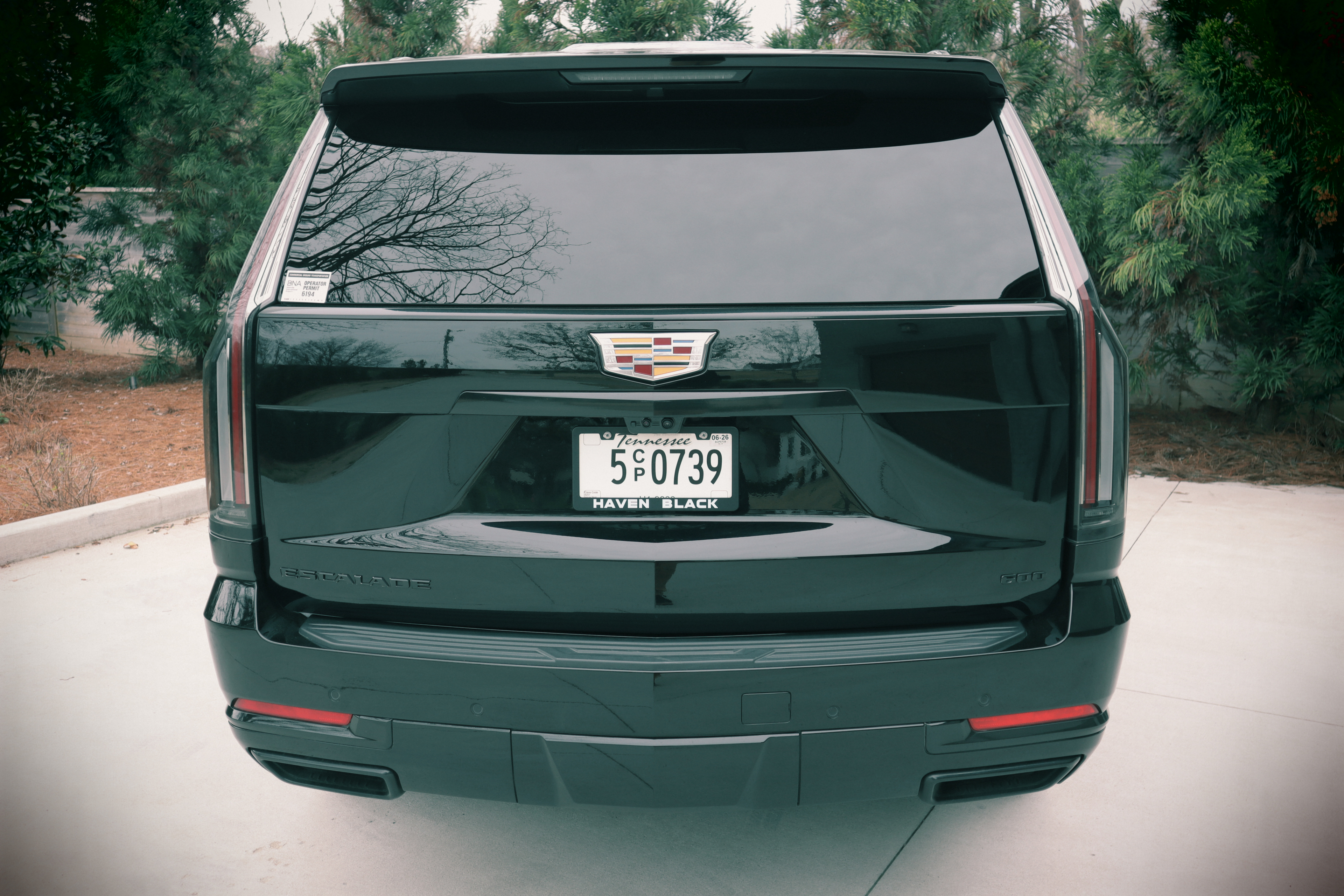 Haven Black - Image 10