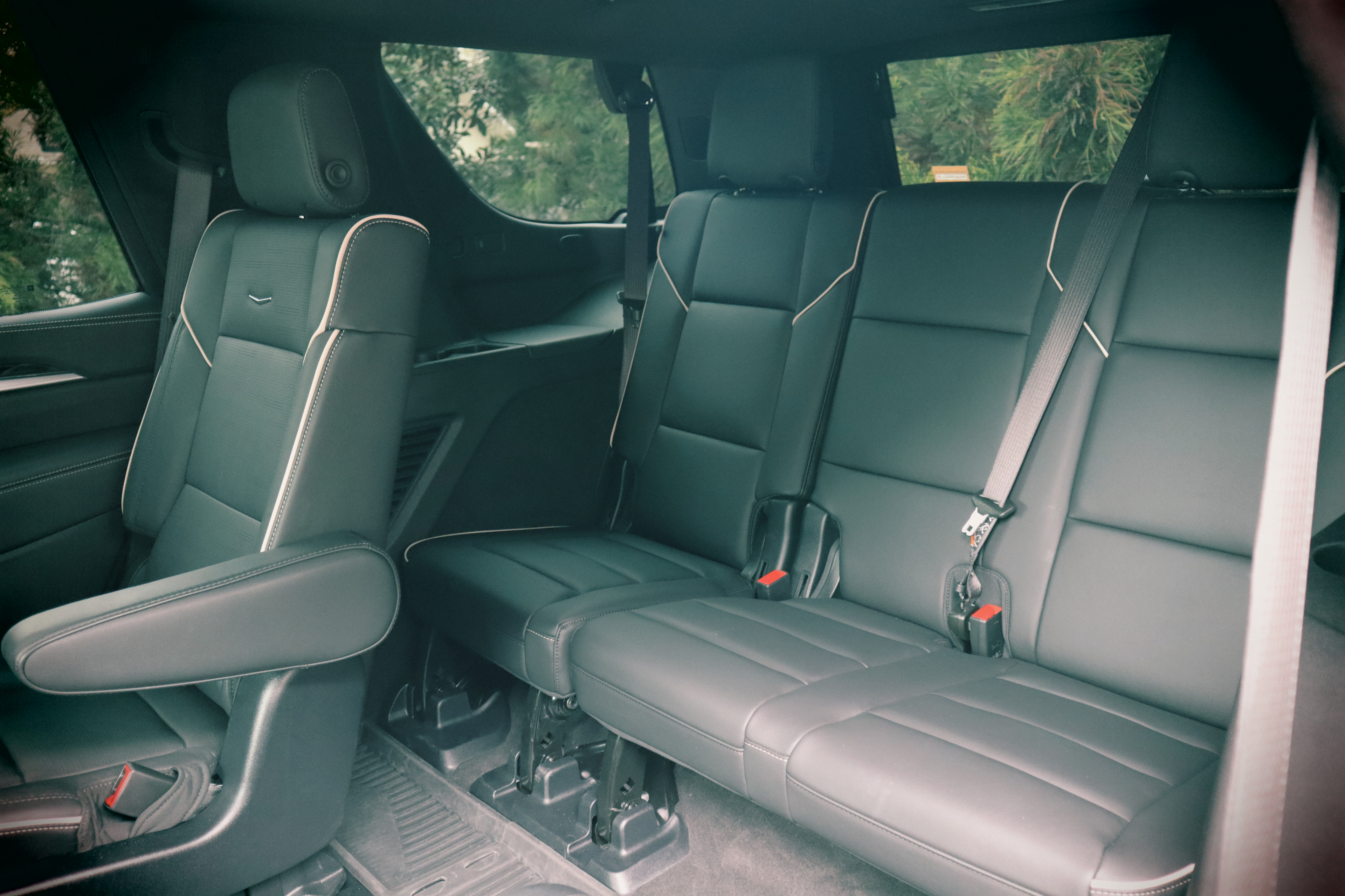 Haven Black - Image 13