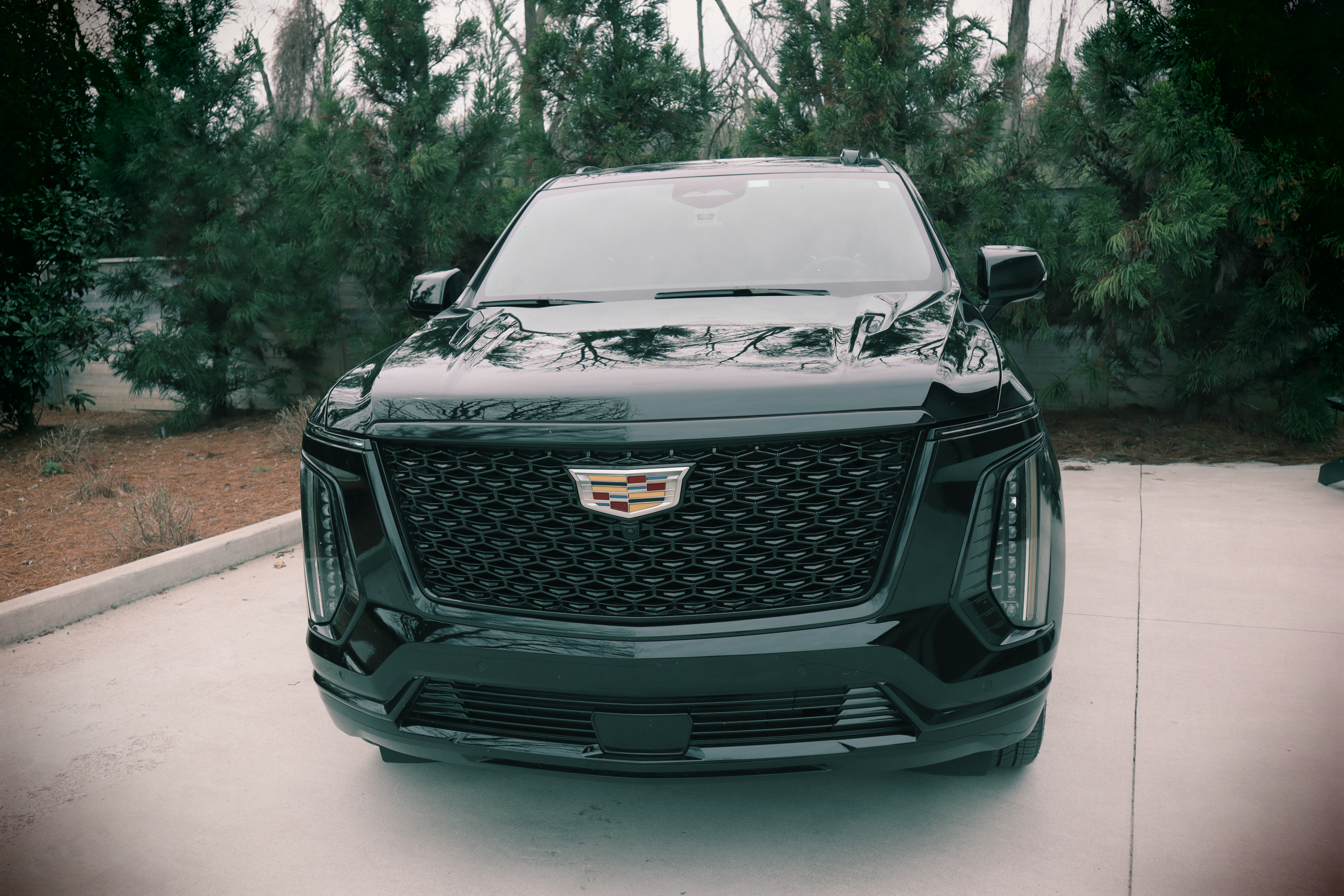 Haven Black - Image 14