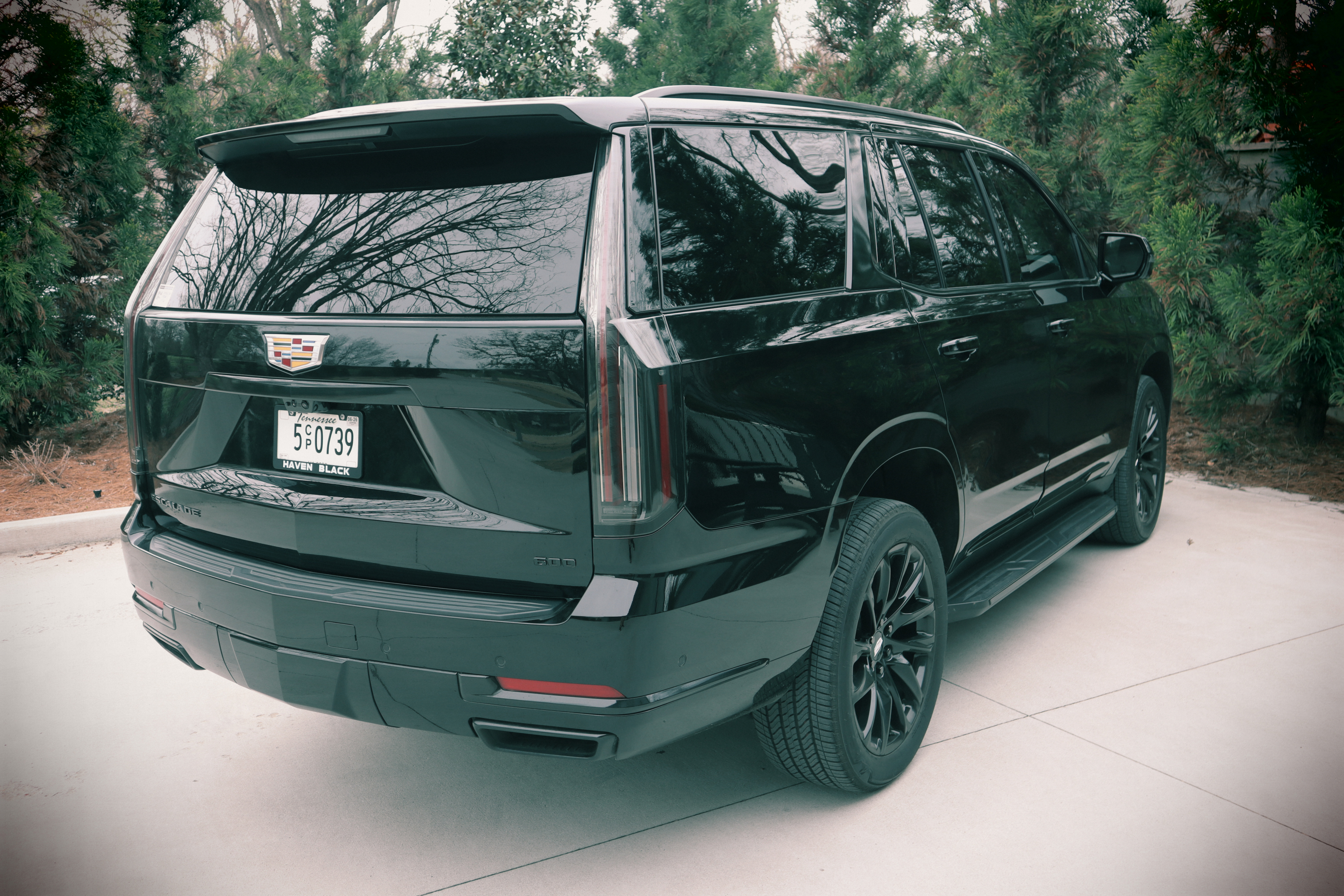 Haven Black - Image 15