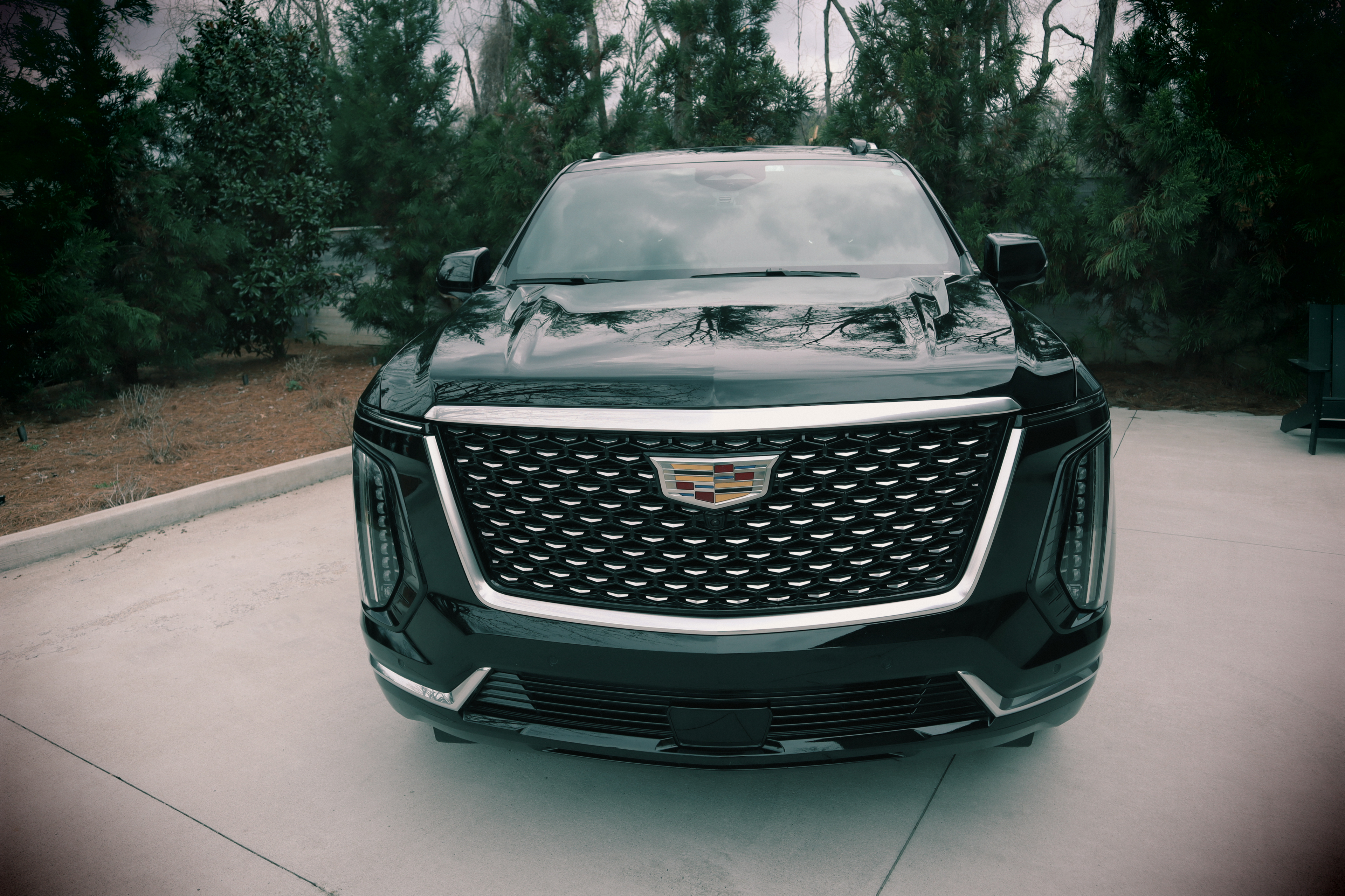 Haven Black - Image 4