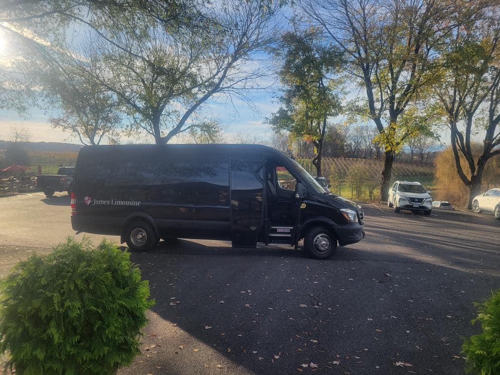 Executive Van - Image 5