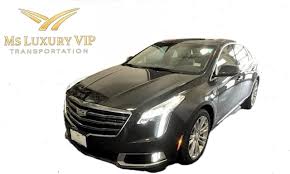 Executive Sedan - Image 2