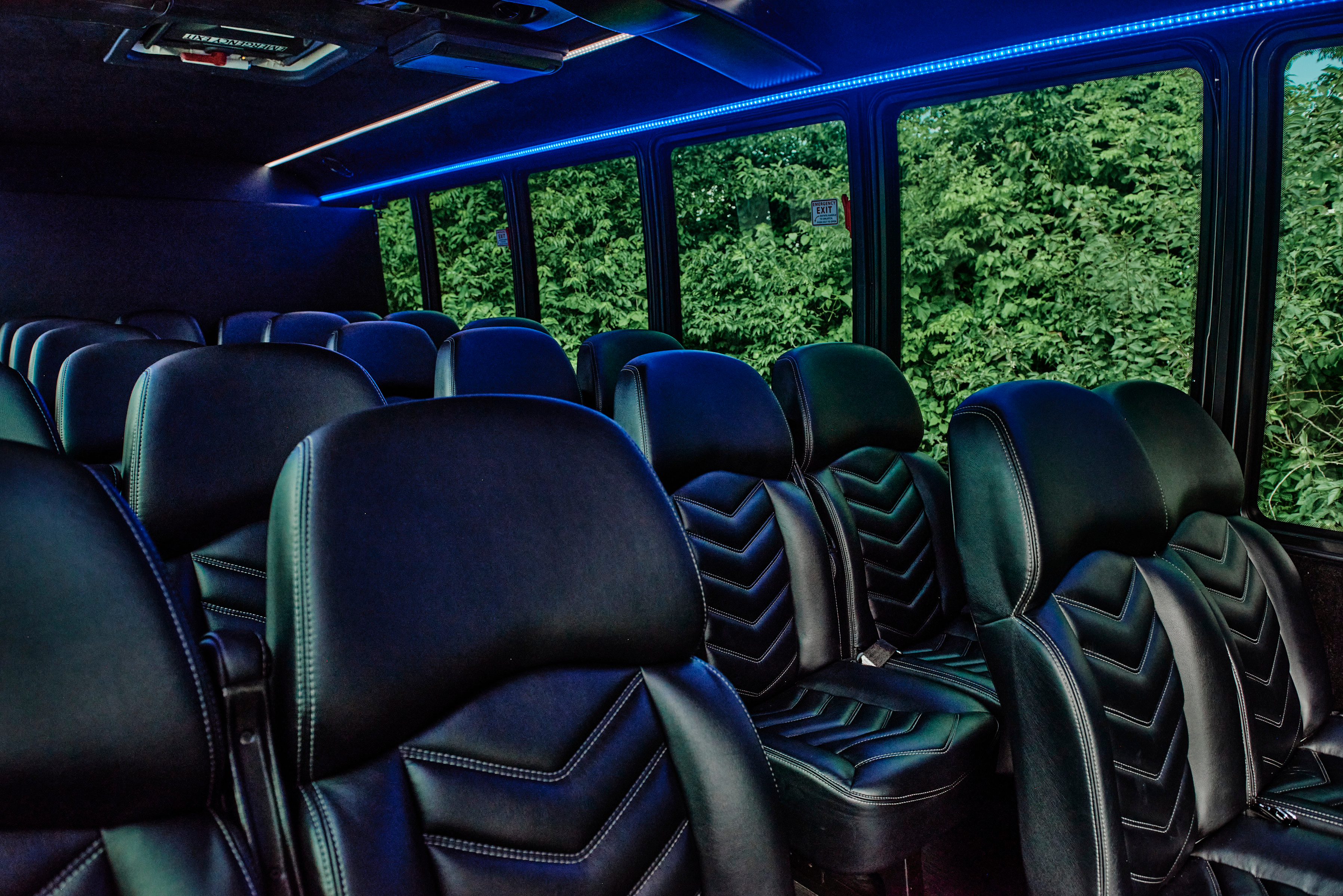 Mini Coach - Image 3