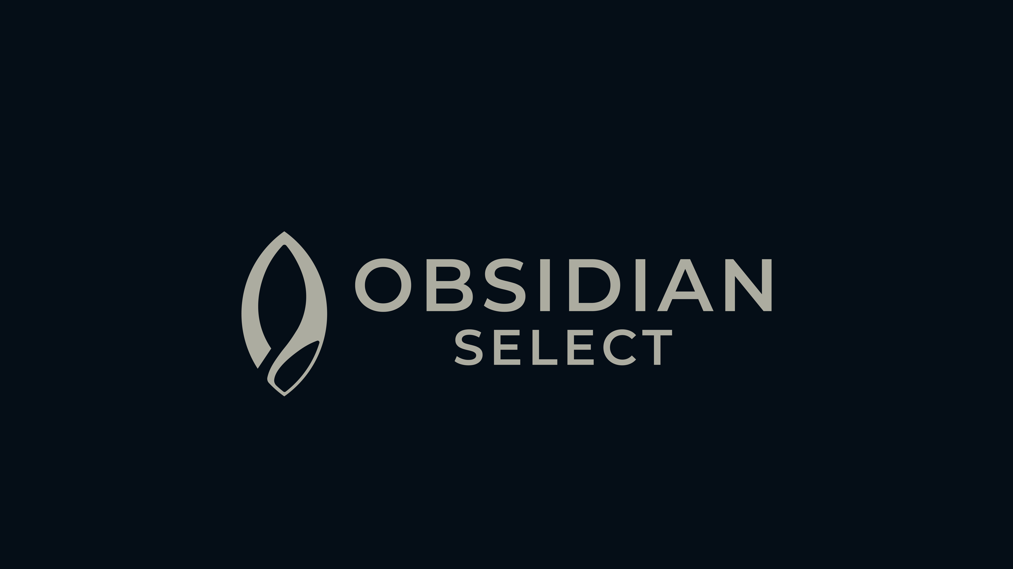 Obsidian Select - Image 3