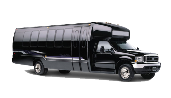 17 Passenger Party Bus