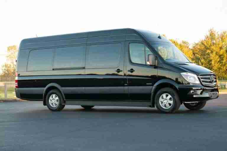 12 Passenger Sprinter Party Bus