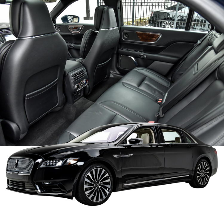 trueelegance-primary - Image 2