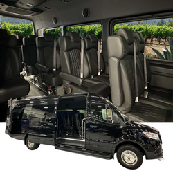 trueelegance-primary - Image 7