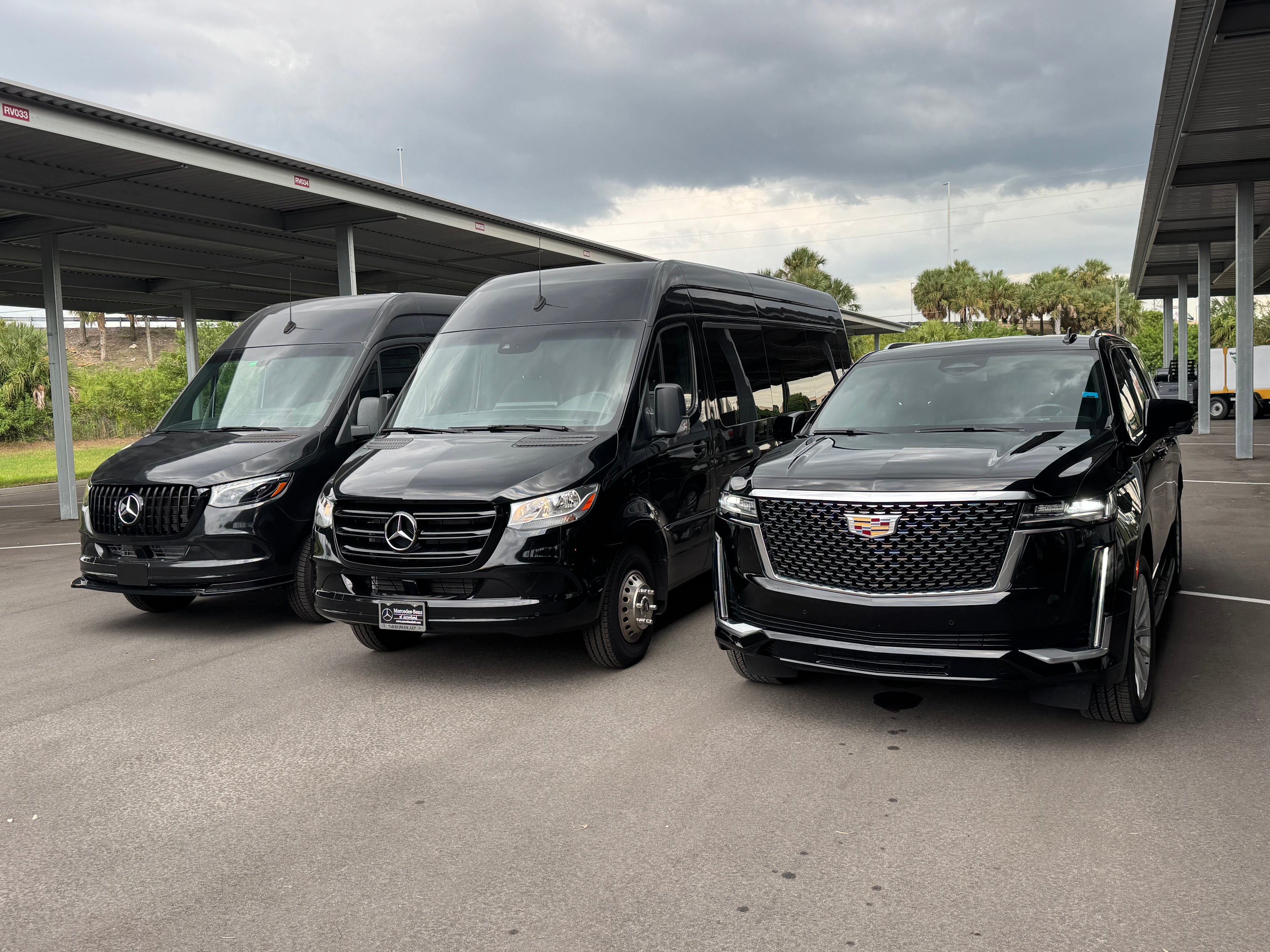 CADILLAC ESCALADE ESV Fleet