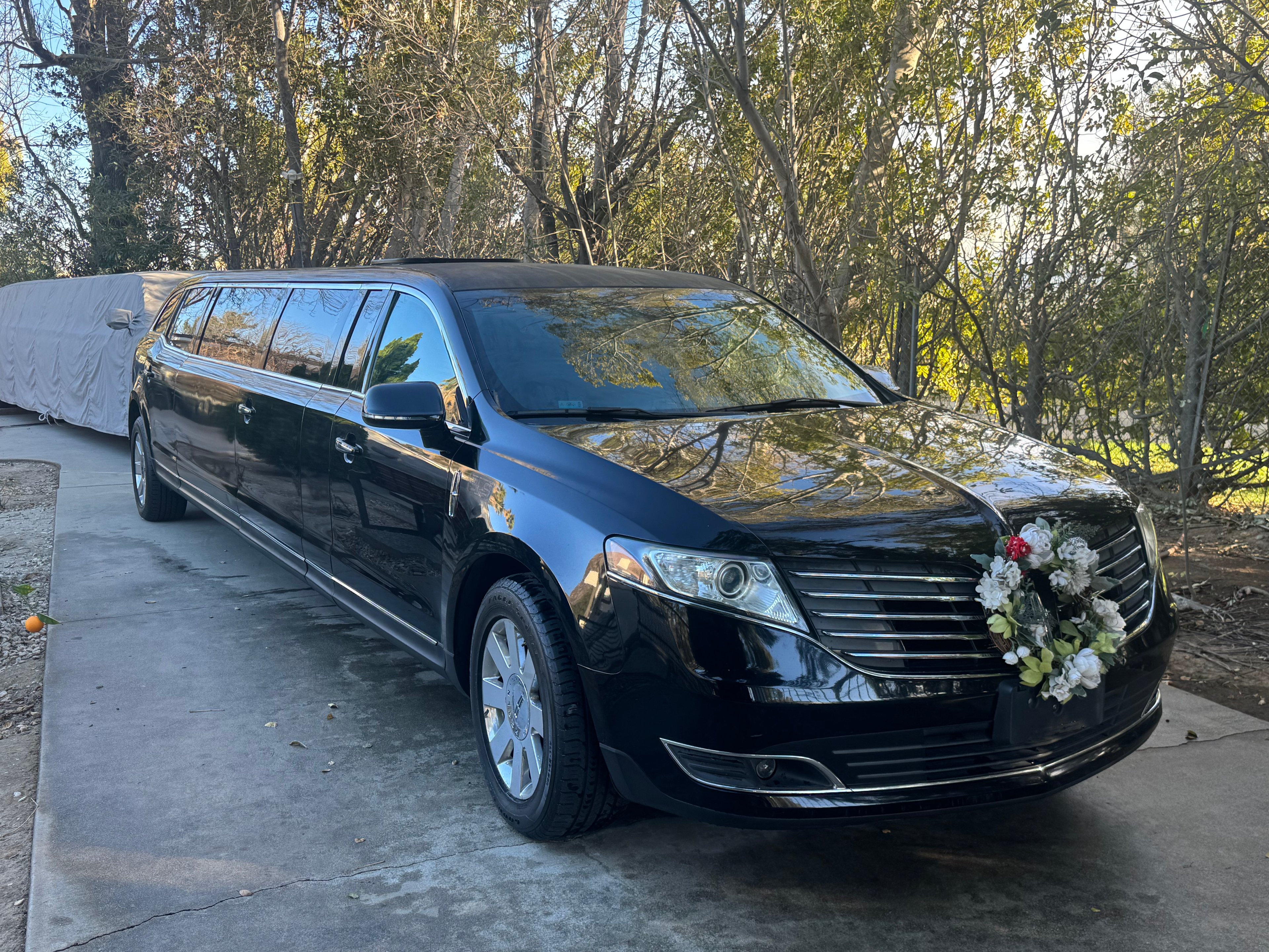 Limousine Fleet