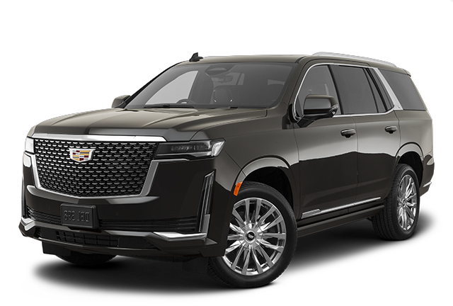 6 PASSENGER SUV Fleet