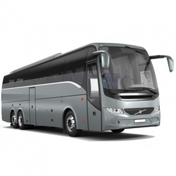 Large Coach Fleet