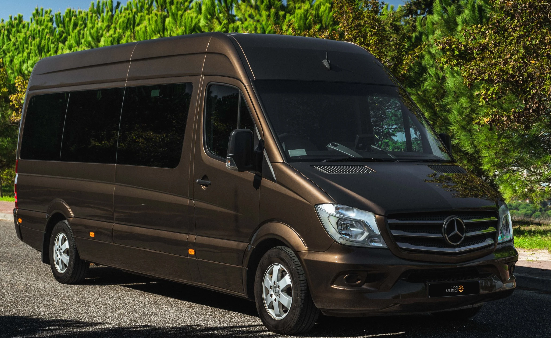 Passenger Van Fleet