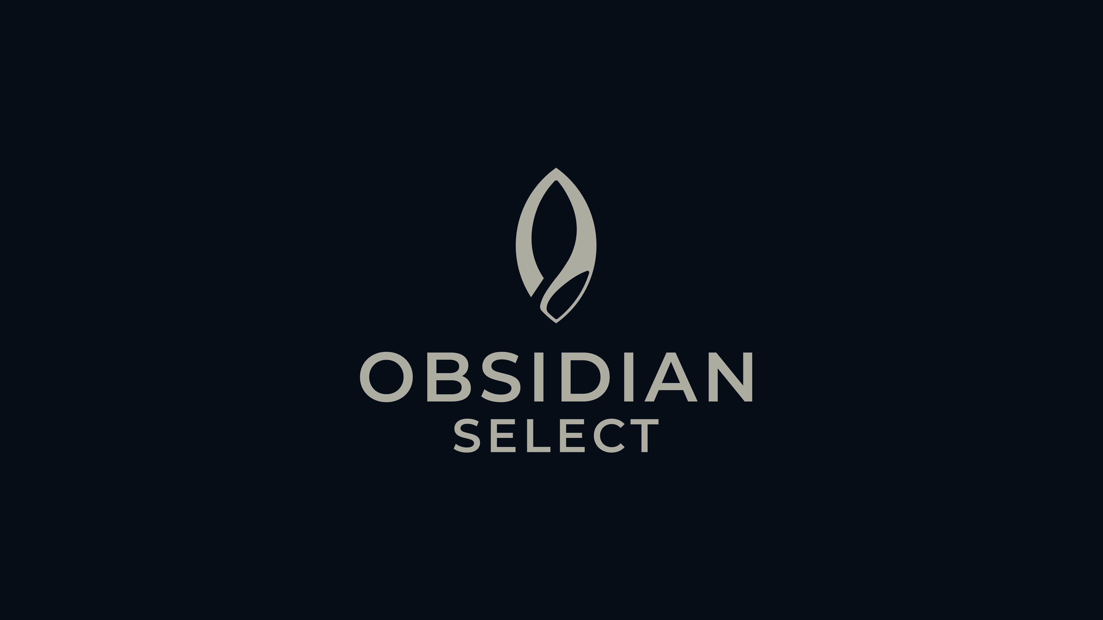 Obsidian Select Location