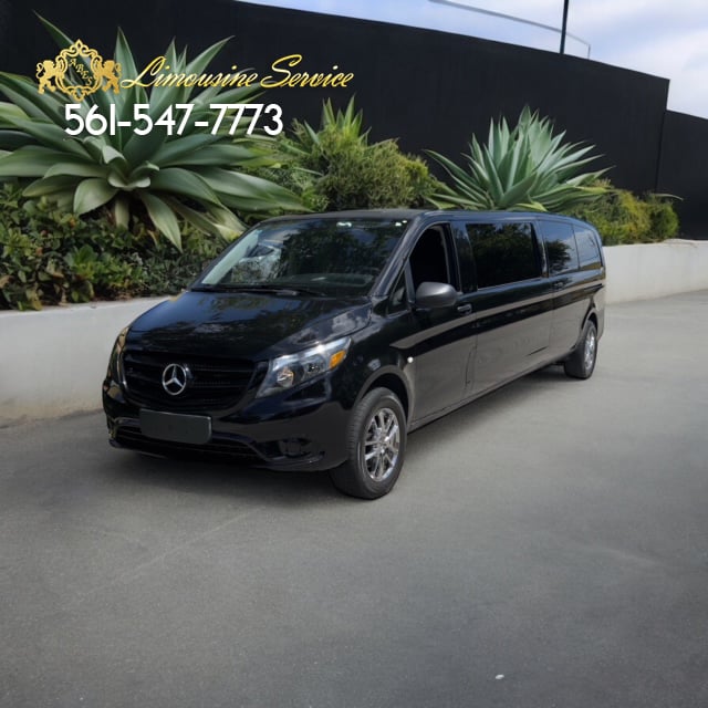 Mercedes Benz Matris Limo Fleet