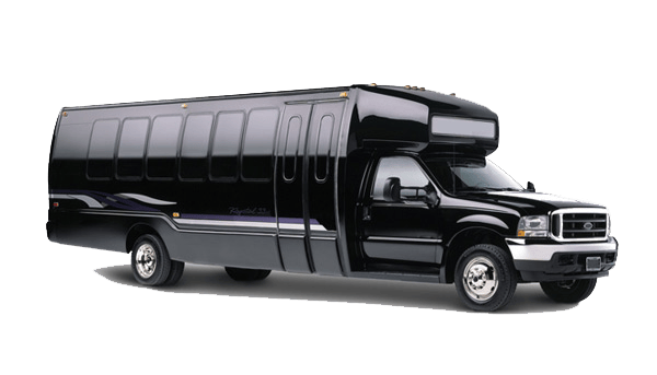 17 Passenger Party Bus Fleet