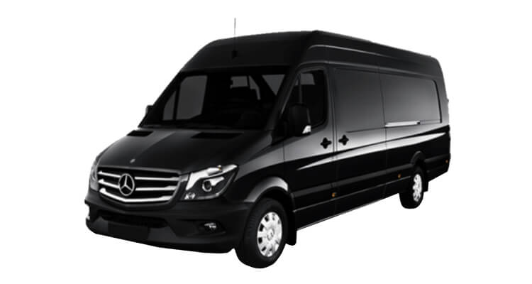 Sprinter Limo Van Fleet