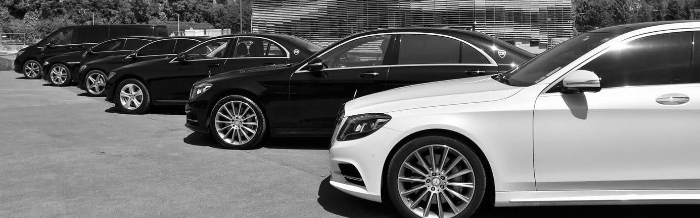 City tour (visite de Lyon et sa région)