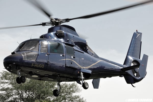 Helicopter Dauphin AS365 Fleet