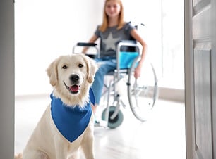 AZ B.E.S.T. ADA Wheelchair Limo Van