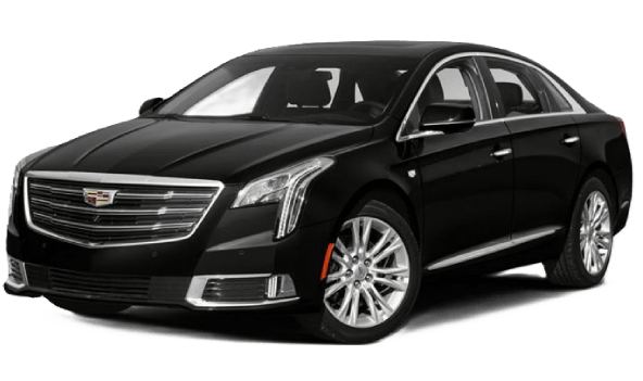 Executive Sedan Fleet