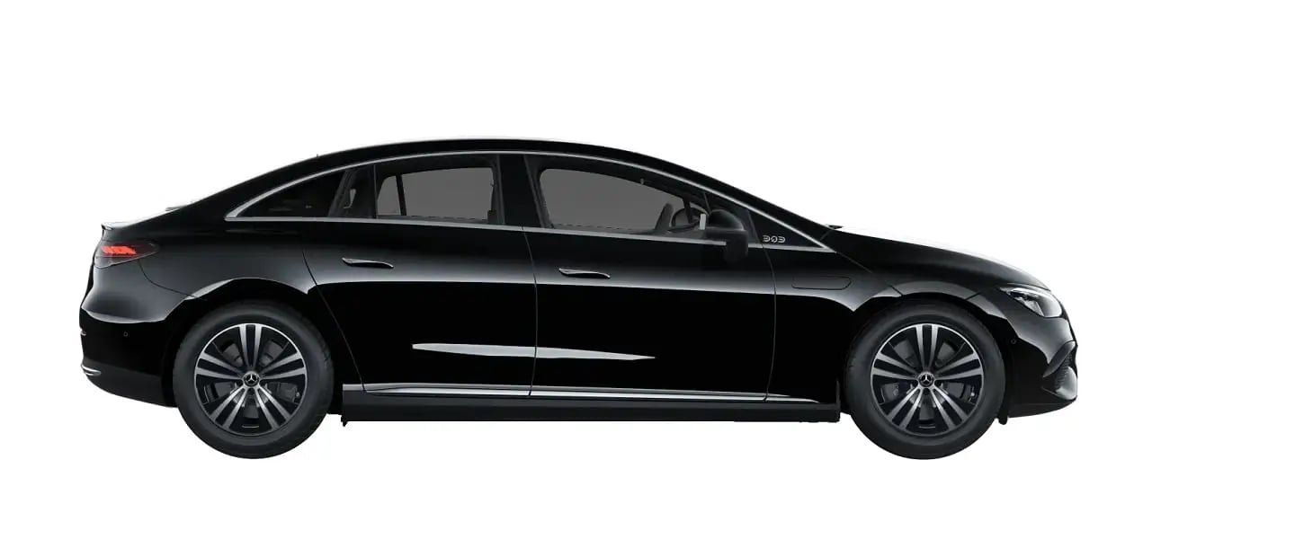 Business Electric Fleet