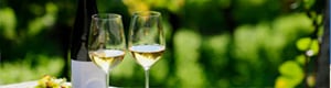 Wine Tours