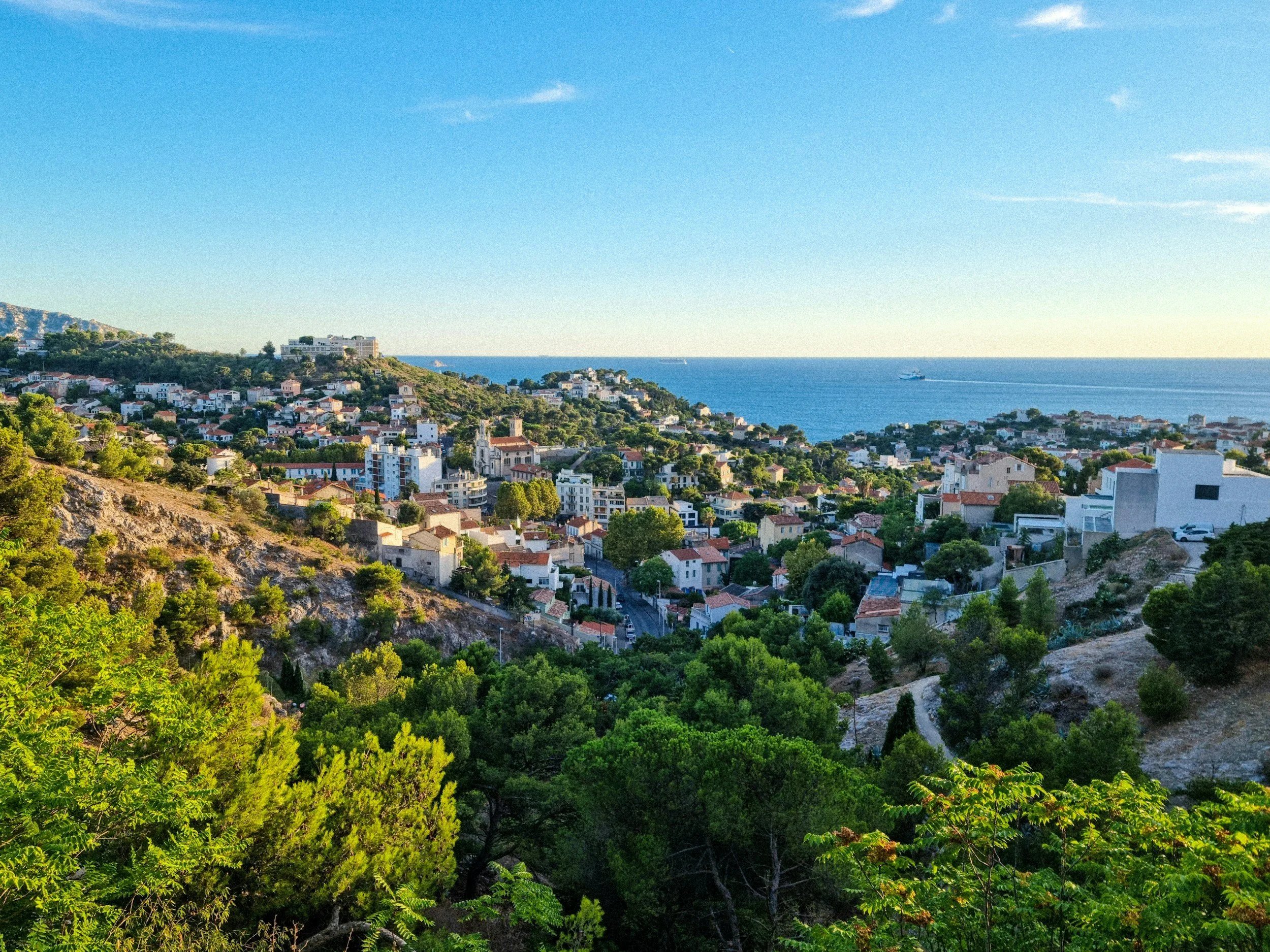 Expertise and Local Knowledge