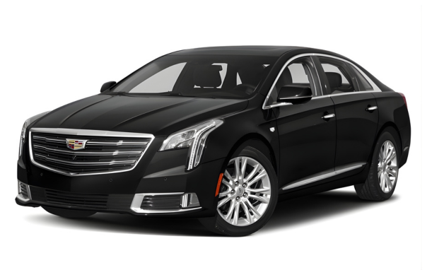 Luxury Sedan Fleet