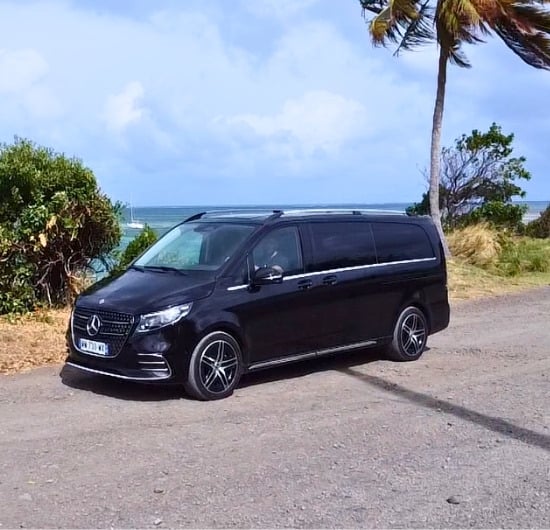 VIP Van Fleet