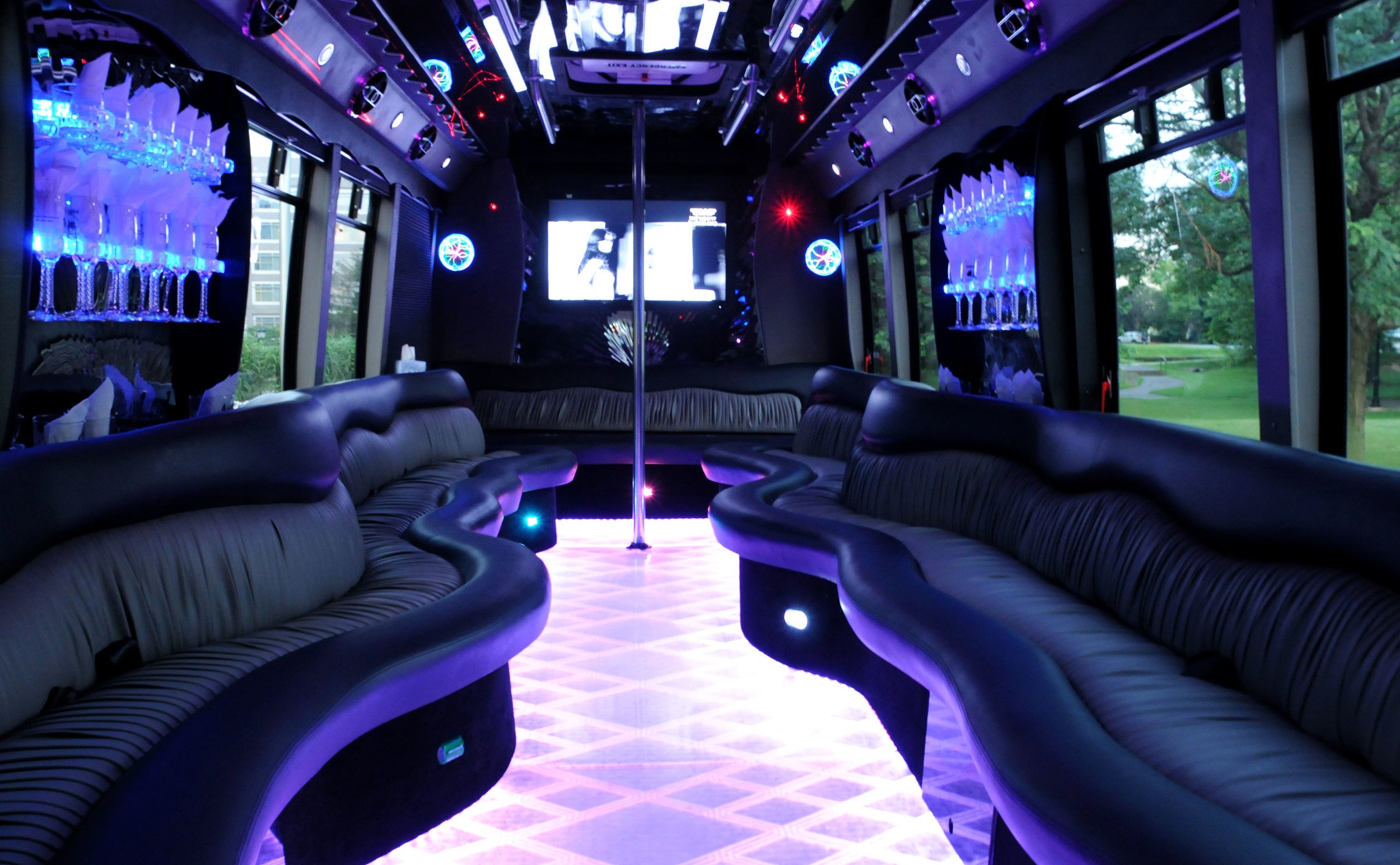 Limousine Buses & Entertainer Coaches