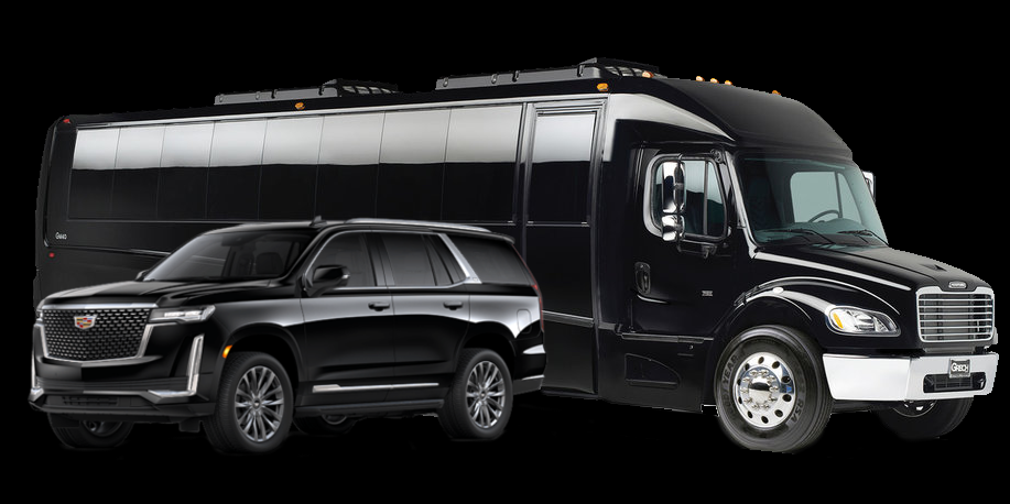 56 Passenger Buses Fleet