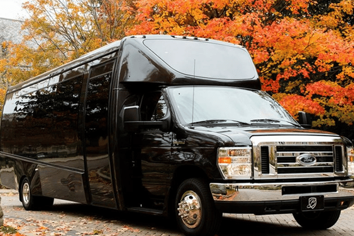 MINI COACH – BUS Fleet