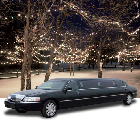 Christmas Light Tours